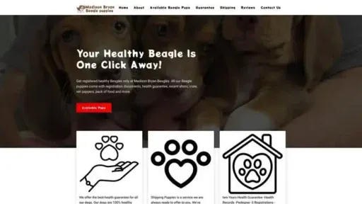 Screenshot of