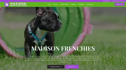 Screenshot of