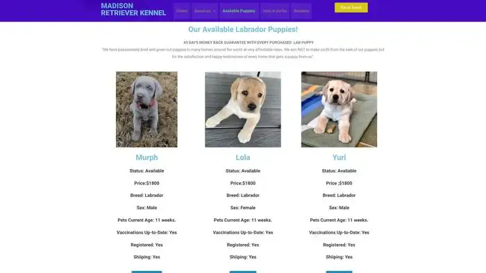 Screenshot of
