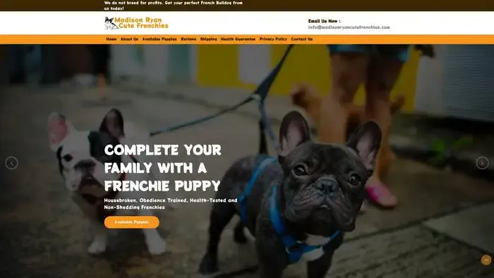 Screenshot of