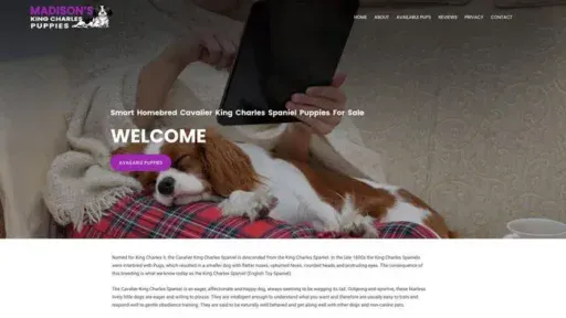 Screenshot of
