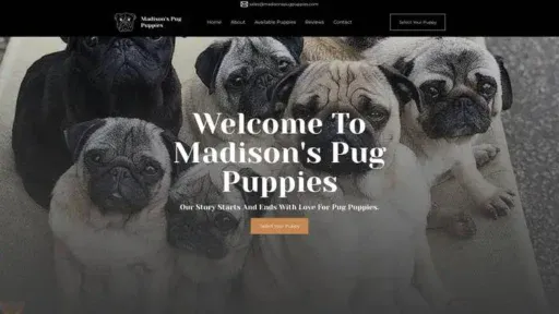 Screenshot of