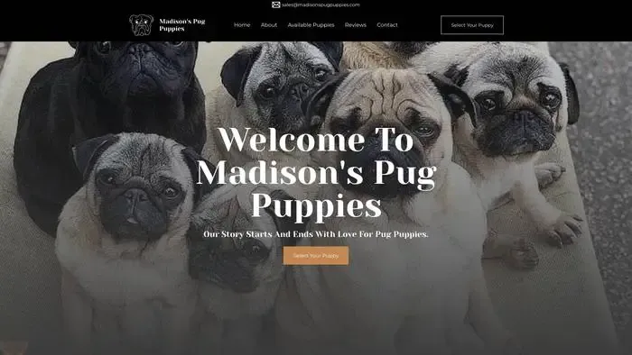 Screenshot of