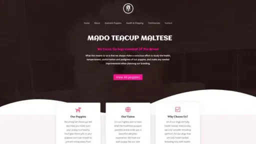 Screenshot of