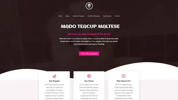 Screenshot of