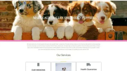 Screenshot of
