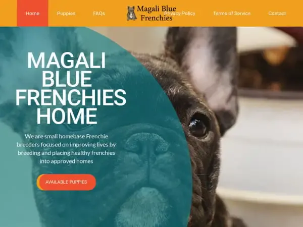 Screenshot of