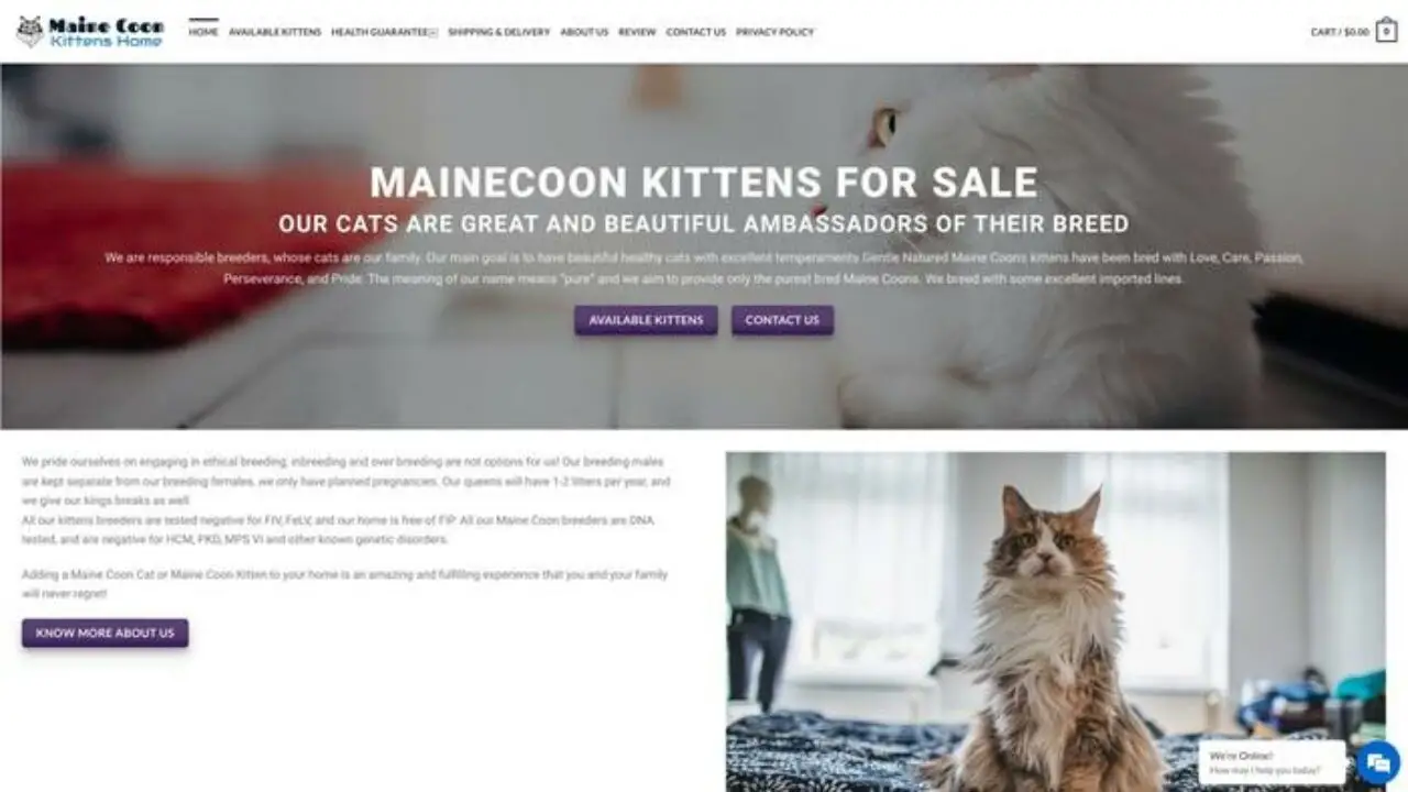 Screenshot of||