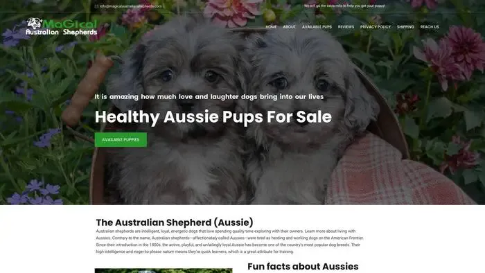 Screenshot of