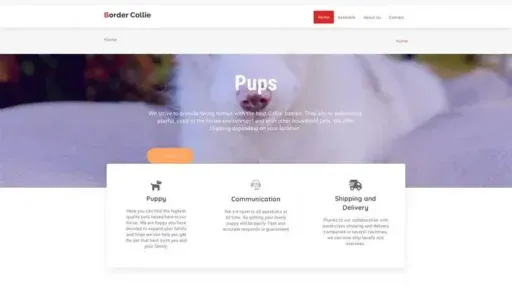 Screenshot of