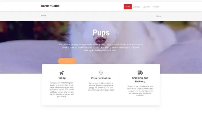 Screenshot of