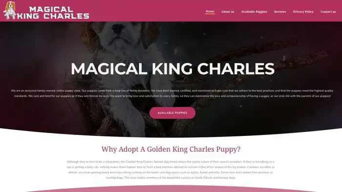 Screenshot of