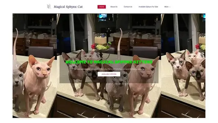 Screenshot of