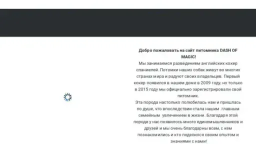 Screenshot of