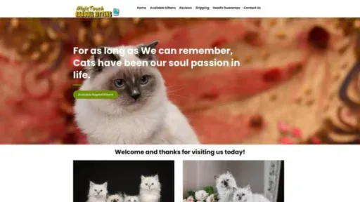 Screenshot of||
