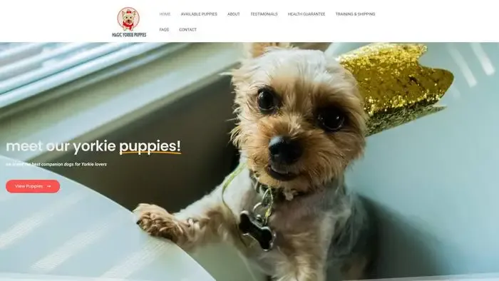 Screenshot of