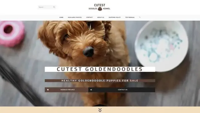 Screenshot of