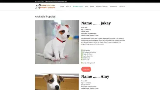 Screenshot of
