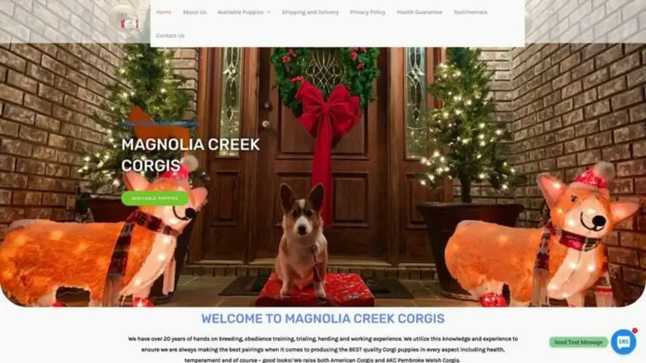 Magnoliacreekscorgis