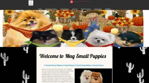 Screenshot of