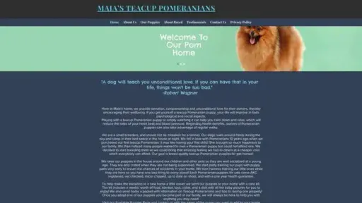 Screenshot of