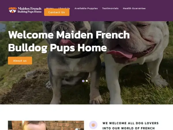 Screenshot of