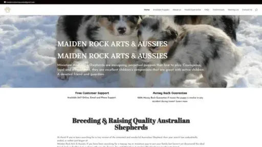 Screenshot of