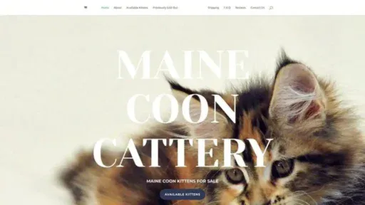 Screenshot of||