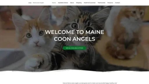 Screenshot of
