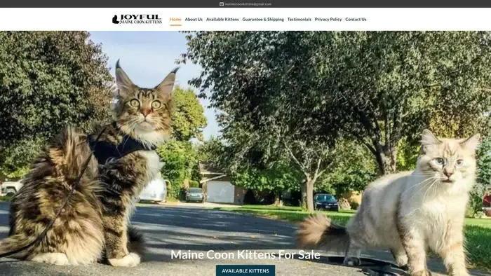 Screenshot of