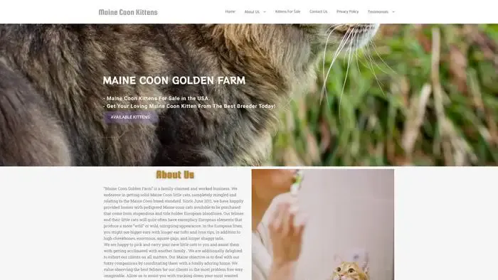 Screenshot of