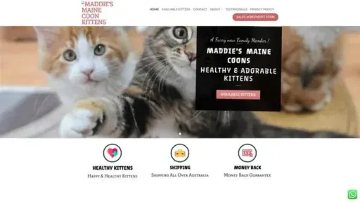 Screenshot of