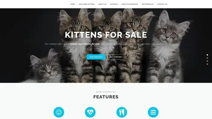 Screenshot of
