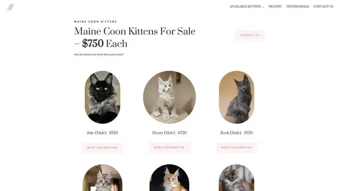 Screenshot of|
