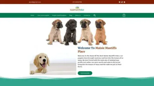 Screenshot of