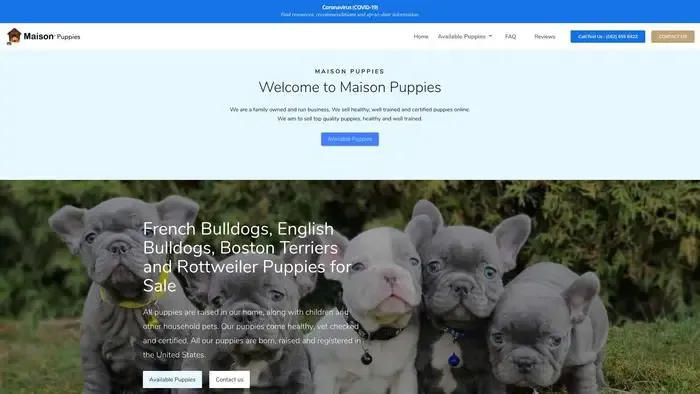 Screenshot of