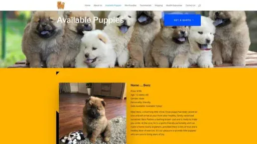 Screenshot of