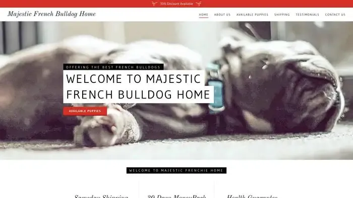 Screenshot of