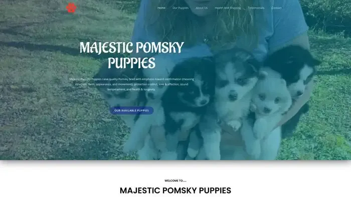 Screenshot of