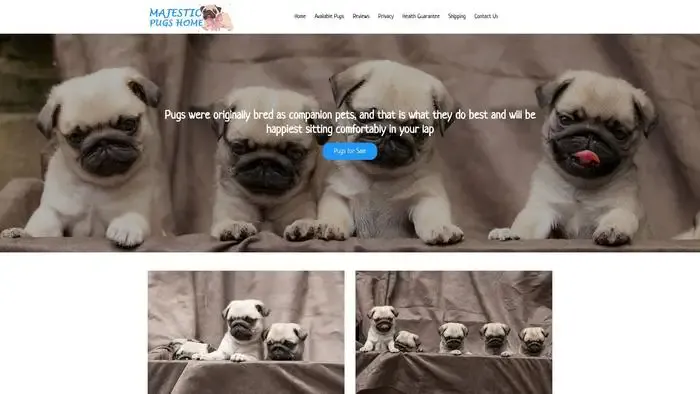 Screenshot of