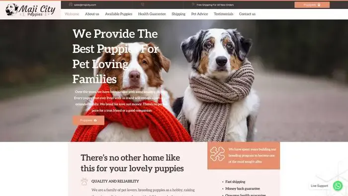 Screenshot of