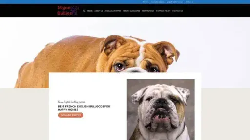 Screenshot of