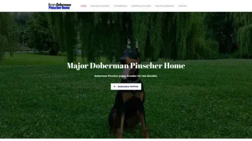 Screenshot of
