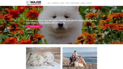 Screenshot of