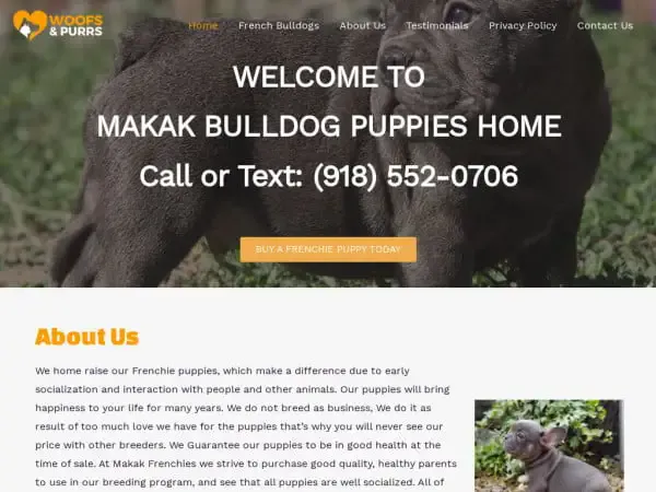 Screenshot of