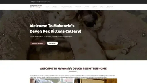 Screenshot of