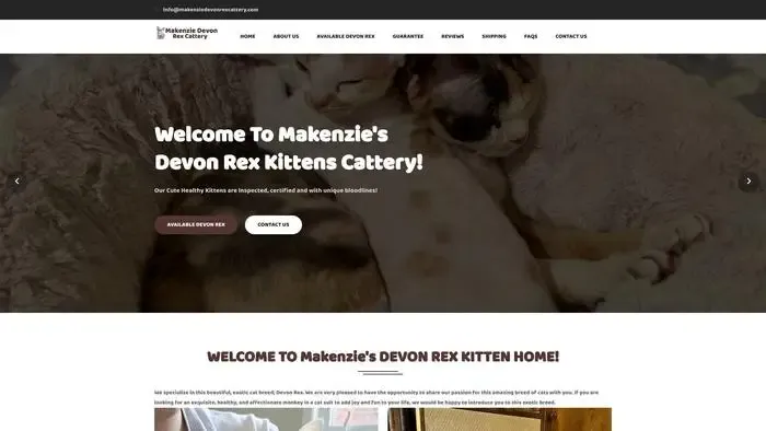 Screenshot of