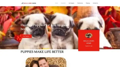 Screenshot of