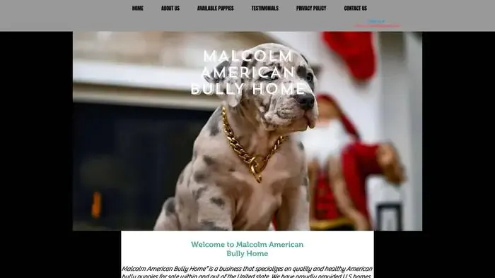 Screenshot of