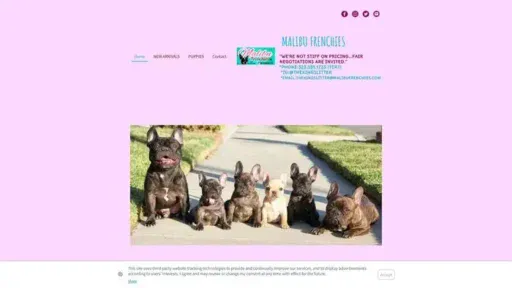Screenshot of